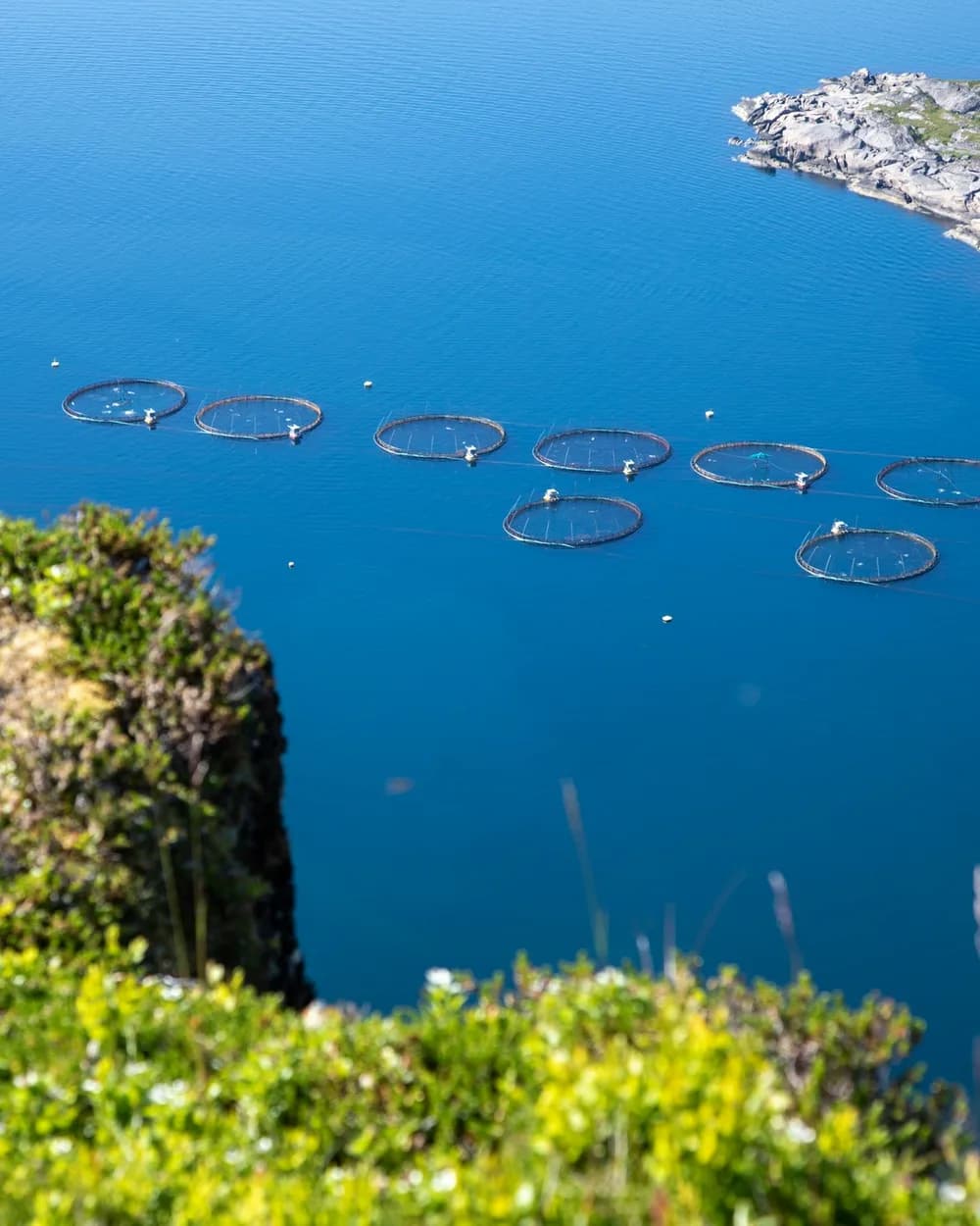 Centro de cultivo acuícola en el mar